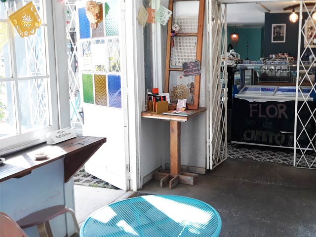 flor-cafeto4